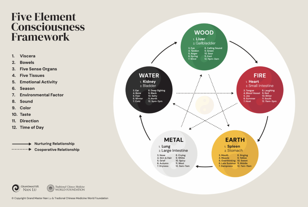 Five Element Consciousness Framework — Wood (Liver), Fire (Heart), Earth (Spleen), Metal (Lung), Water (Kidney) — TCM World Foundation, Grand Master Nan Lu
